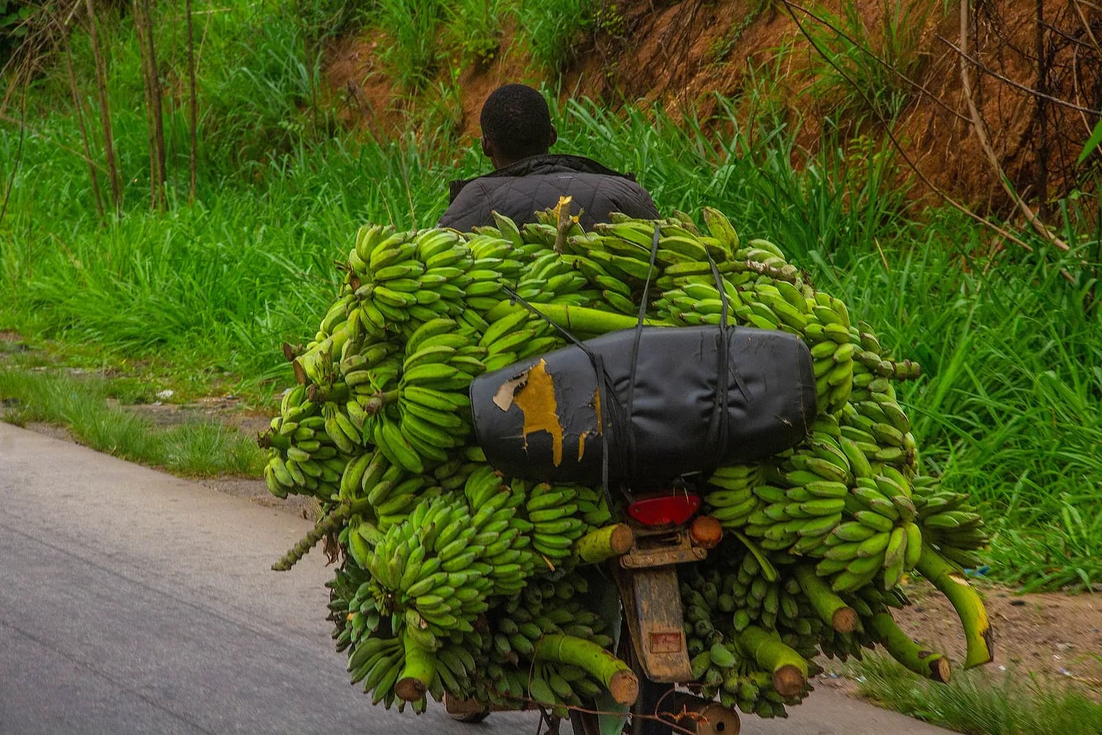 Farm produce being transported locally in Osun State, Nigeria.
